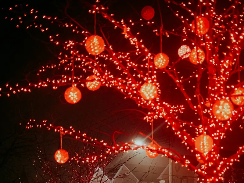 Tree branches wrapped in red holiday lights at night