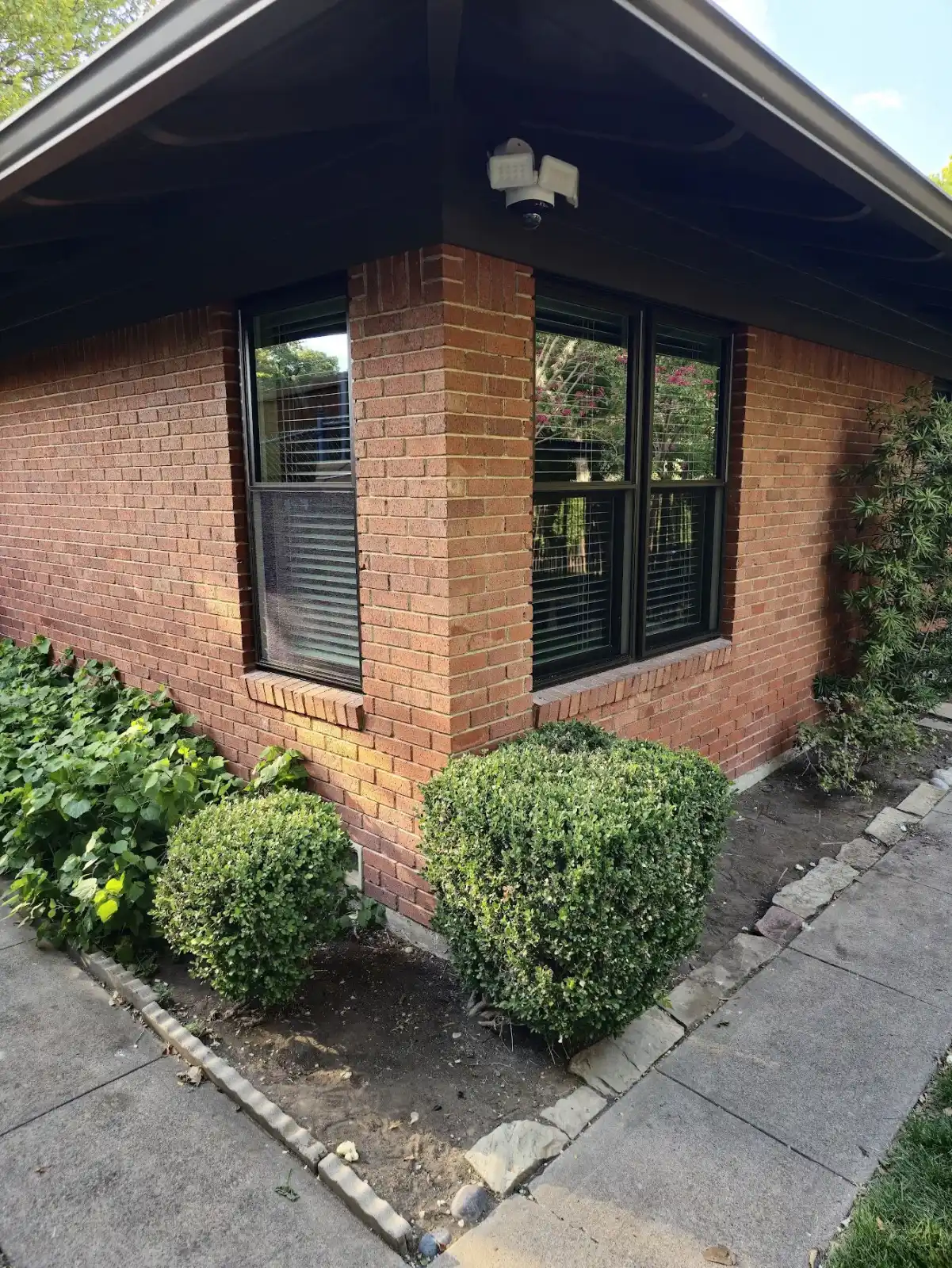 Bronze-framed ProVia replacement windows wrapping the corner of a Canyon Creek brick home
