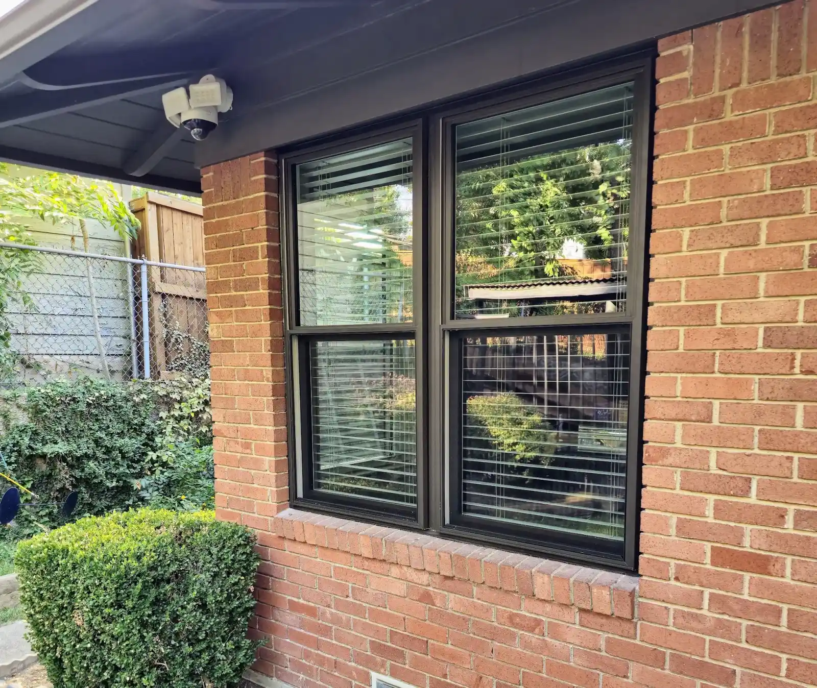 ProVia double-hung windows with bronze exterior frames on a red-brick Canyon Creek home in North Richardson